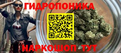 прущие крисы Новокубанск