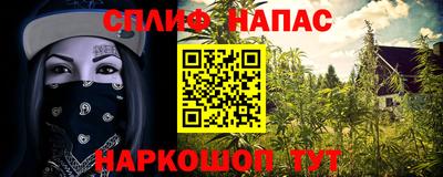 прущие крисы Новокубанск