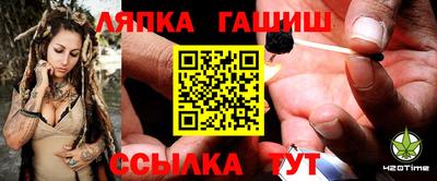PSILOCYBIN Новодвинск